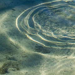 DJ TEDA / Serendipity