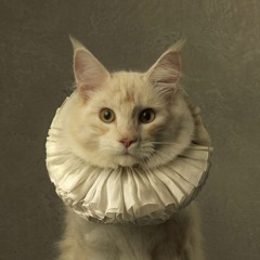 ACatNotACat