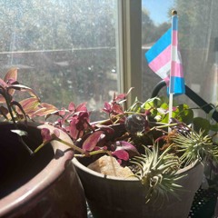 Social Death draft 10-28-25.m4a