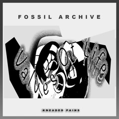 PREMIERE: Fossil Archive - Valves Of Life (Kneaded Pains)