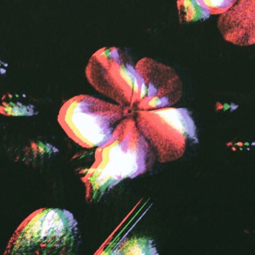 Djscreendoor - 092024 - Winebar Session