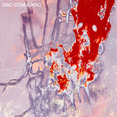 DSC COM A XRC (MC LEKÃO)