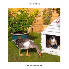 mon rêve