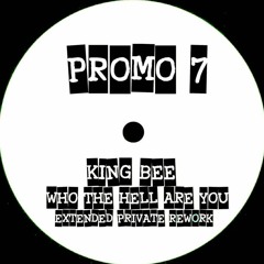 King Bee - Who The Hell Are You (Luis Pitti Extended Private Rework )