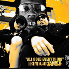 Trinidad James - All Gold Everything (H.O.E Remix)
