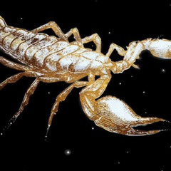 La Lógica Del Escorpión Charly García LIVE MIX