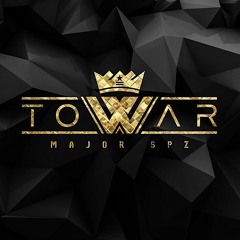 Towar (feat. Paluch)
