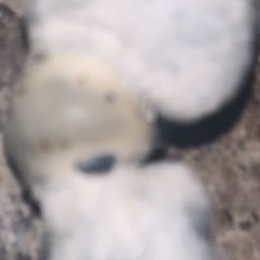 once upon a time, the end