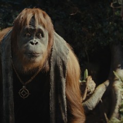 V-E-R »[HD] El reino del planeta de los simios 2024 .|(Pelicula)” ¡EN ESPAÑOL Y LATINO — CUEVANA 3