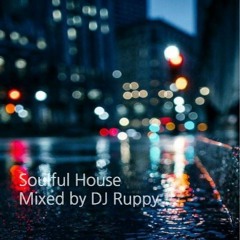 soulful house mixed by DJ Ruppy bar & Lounge & beach & Roof top & hotel