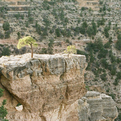 Death: Grief, Anger and Joy