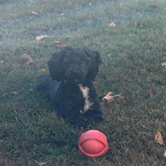 Blank!(Prod by 99LA)