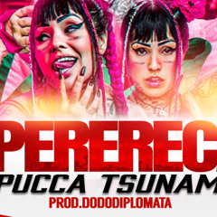 MC PUCCA TSUNAMI - DUELO DE PERERECA - MUSICA NOVA (PULA PERERECA) Diplo Beats