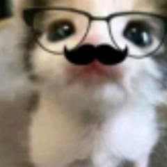 shake that ass Yunglampa