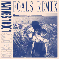 Dark Days (Foals Remix) [feat. Sylvan Esso]