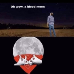 BLOODMOON.DEMO.$$