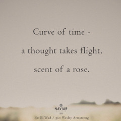 A Thought Takes Flight [NaviarHaiku577]