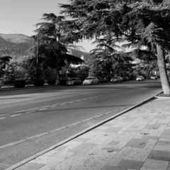 سَعِدي الحِلي | أحلى مِن چلمَة حَبيّبي.