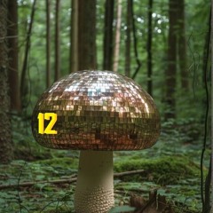 A Euphoric Night In.12