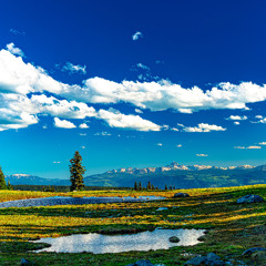 OftenGuy | Tune Of Ecstasy No.1: "Euphoric Vista"