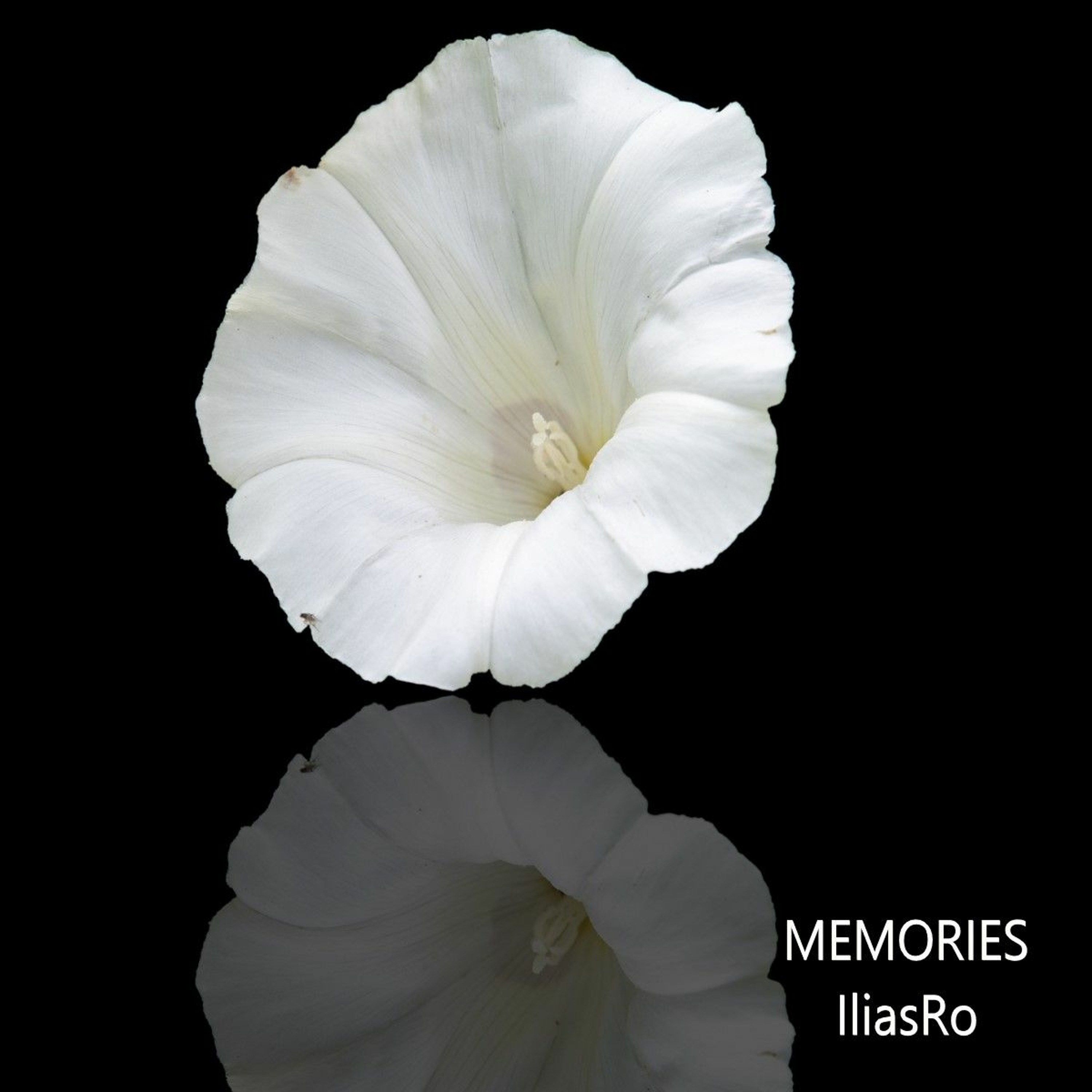Memories episode artwork