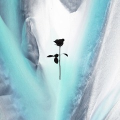 PREMIERE: Erly Tepshi Feat. Eleonora - Hidden (Original Mix) [Black Rose]