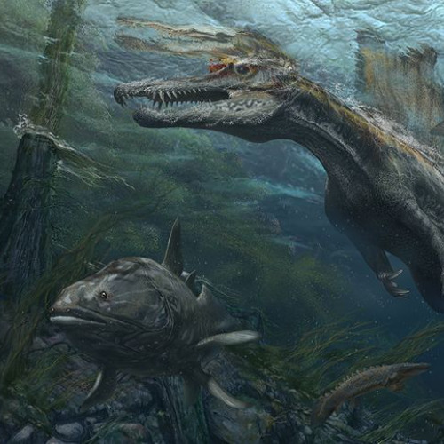 Ocean Water Sounds Part 38: the finale