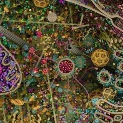 Zebede aka Dr Dave's Jungle : Dnb mix 23 - 7- 2021
