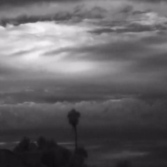 earl sweatshirt + the alchemist - the caliphate (ft. vince staples) (prod. by atomatomat0m)