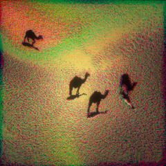 OASIS (Cheff.yo x 12TWELVE collab)