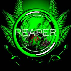 Reapeer