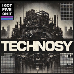 I GOT FIVE ON IT - Technosy Remix