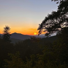 i gave you everything