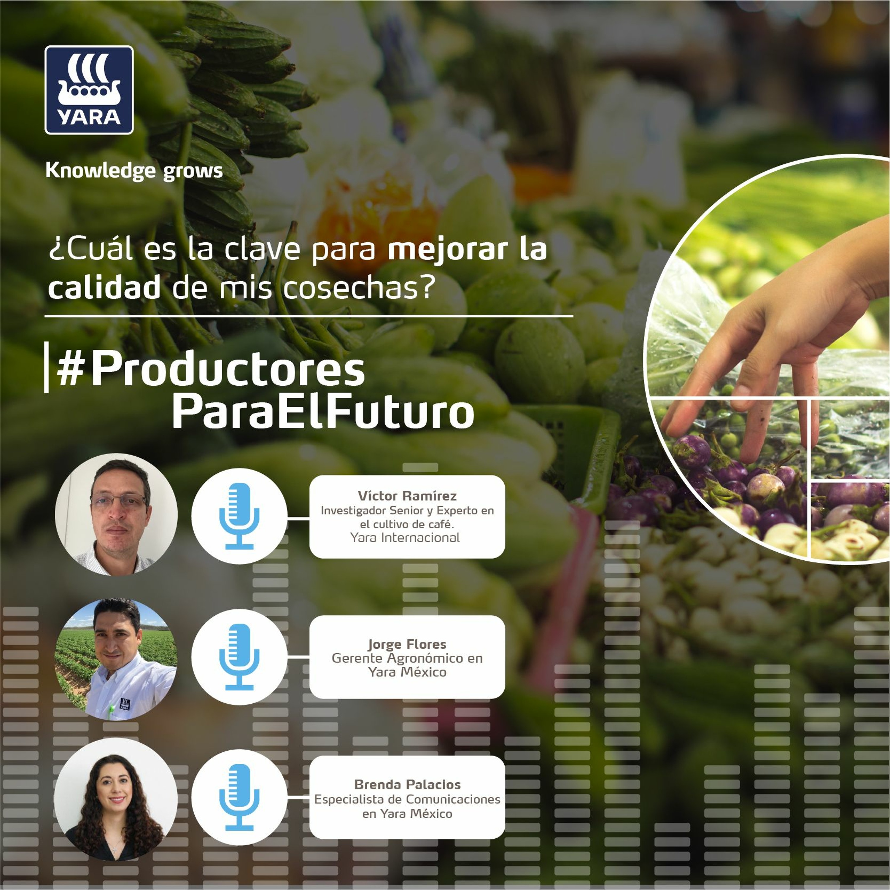 Productores Para El Futuro