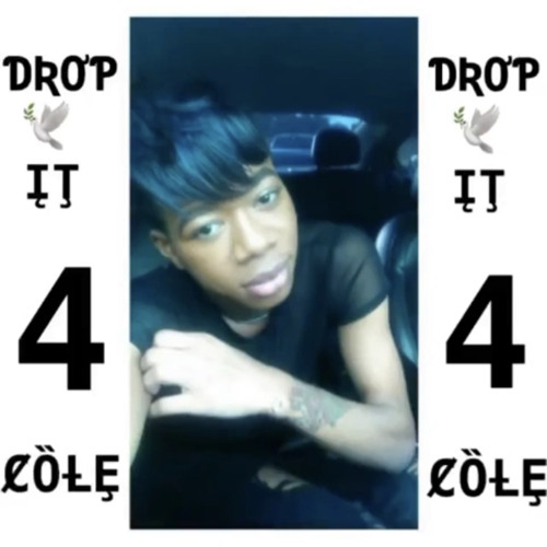 DROP IT 4 COLE RAPPER NELLY SUPA BADD THA BODY HANDSOME GANG EMILE PROD BY ALRIGHT SLASH