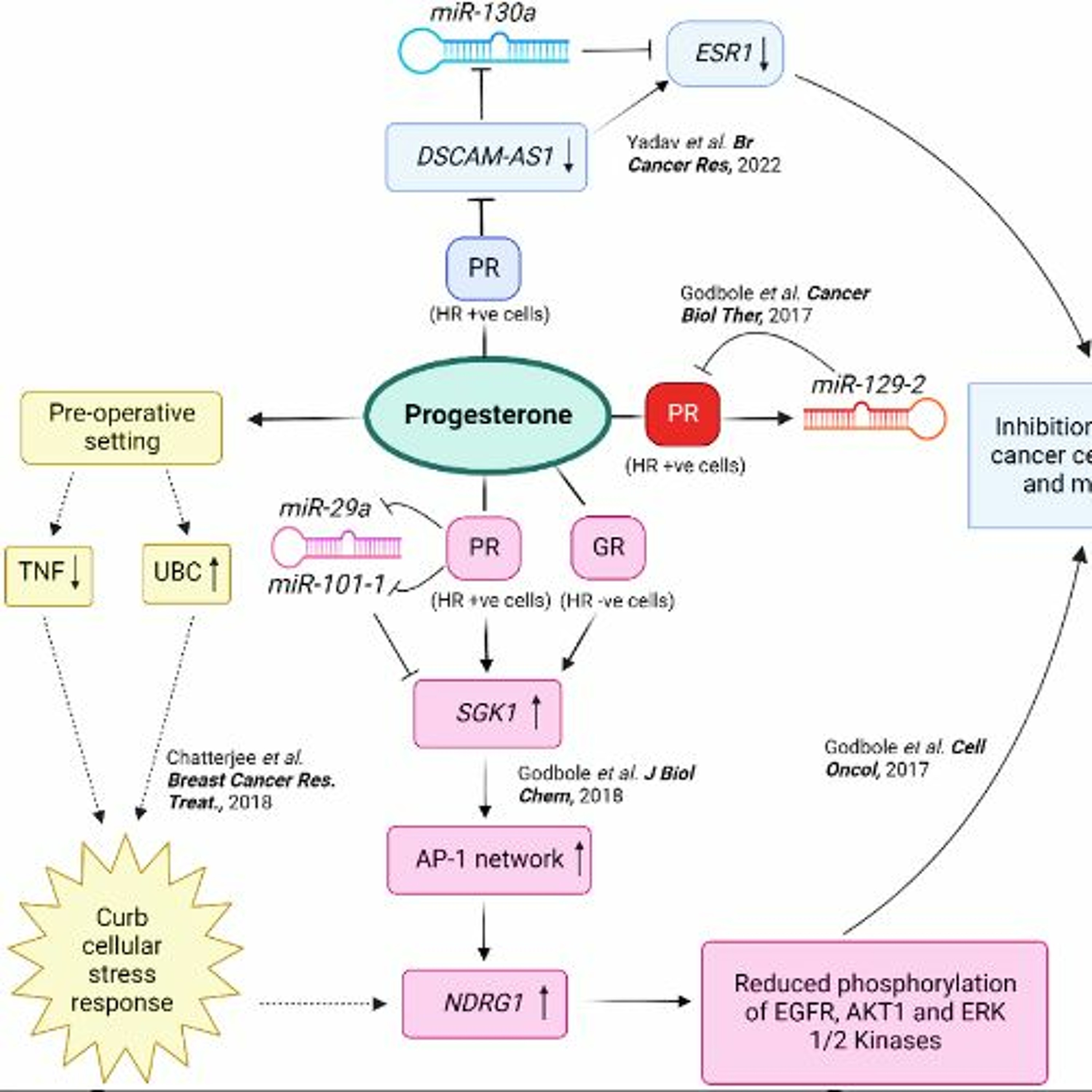 Oncotarget