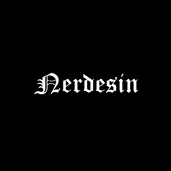 NERDESIN? (prod. taipan)