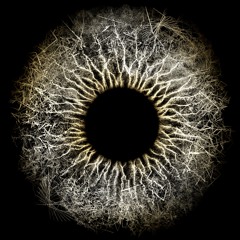Chromos (Cosmin TRG's Mutation)