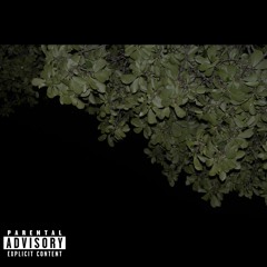 Orientation Vacation