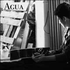 Agua - jarabe de palo (cover) Alejandro Diaz
