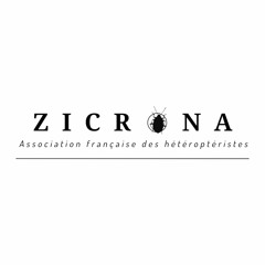 ZICRONA, association française des hétéroptéristes - Etude des punaises