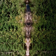 Lea Suela - Organic/Ethnic/Tribal Deep House Set (Vancouver, May 2021)