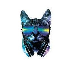 Albatraoz & Sofie Svensson -trucker Motherfucker(KGN0177 Remix)