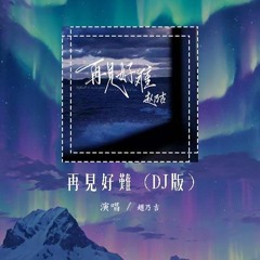 赵乃吉 - 再见好难 (DJ版)「再见好难再见好难 如若再见是为何事又在哪年」【動態歌詞/pīn yīn gē cí】#赵乃吉 #再见好难 #動態歌詞