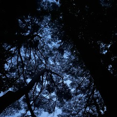 DUB   TEST 1