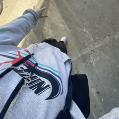 BRILLA LA CADENA FREESTYLE.mp3