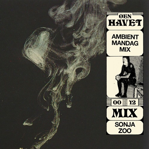 Stream ØEN & HAVET mix series 012 – Sonja Zoo by ØEN REC. | Listen online  for free on SoundCloud