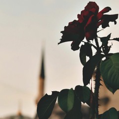 الرضا عن الله _ محمد راتب النابلسي