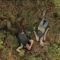 this is what survival looks like - gilanares cover