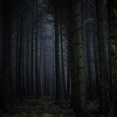 Deep Breakfast 333 ~ Grey Frequency